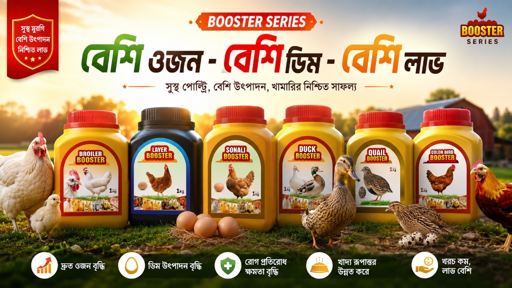 Booster Series Banner