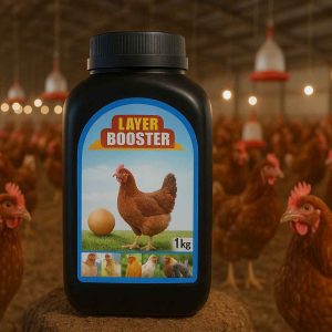 Layer Booster