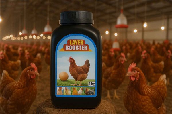 Layer Booster