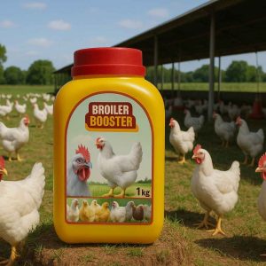 Broiler Booster