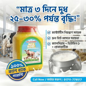 milk more (ষাঁড়ের জন্য)