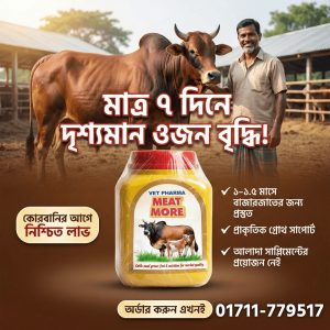 milk more (ষাঁড়ের জন্য)